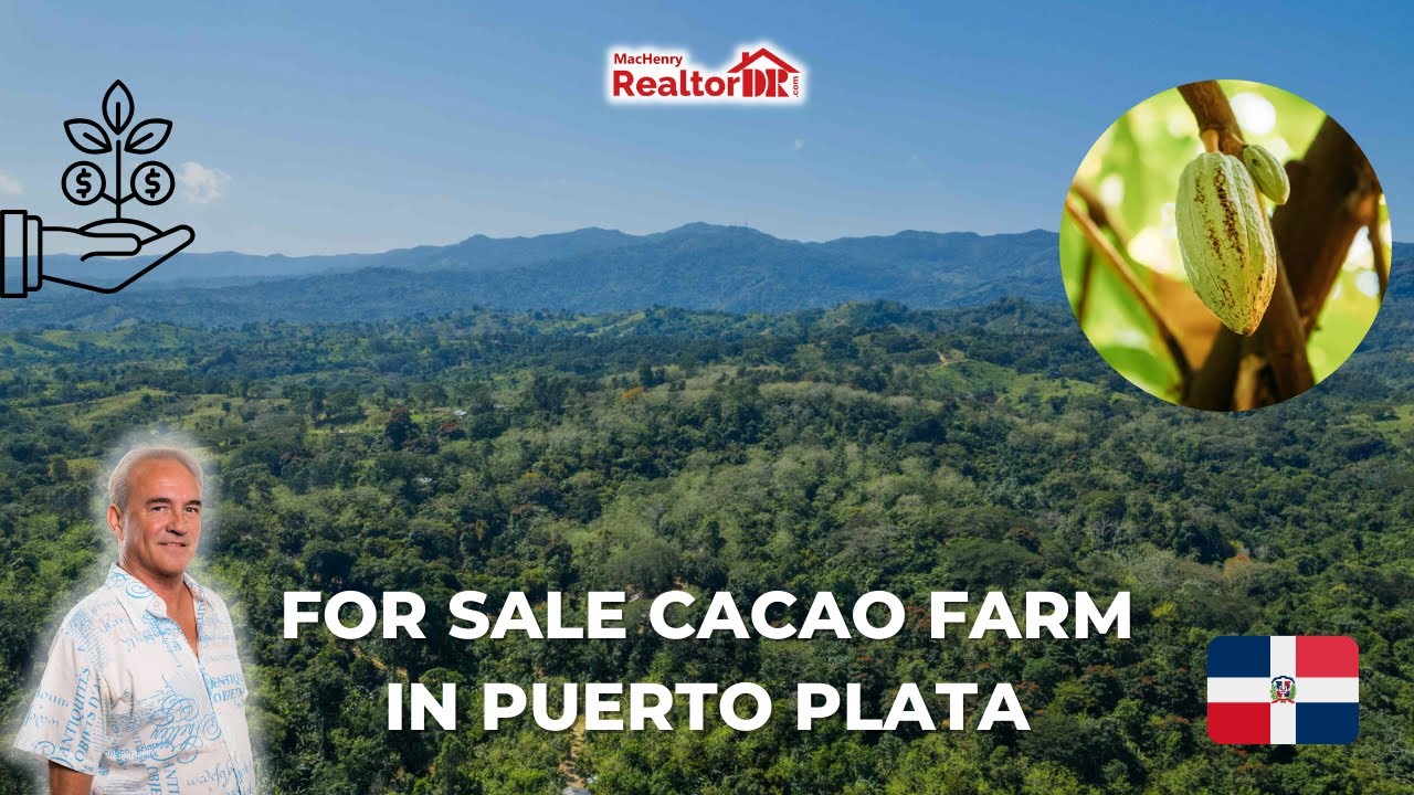 ORGANIC CACAO FARM FOR SALE IN GUANANICO, PUERTO PLATA DOMINICAN REPUBLIC 🇩🇴