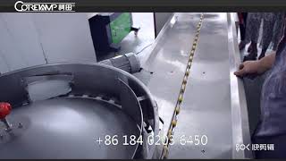 KT-250C small candy automatic packing machine