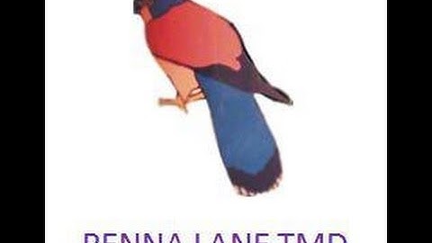 Heljan Traverser Table Working on Penna Lane TMD