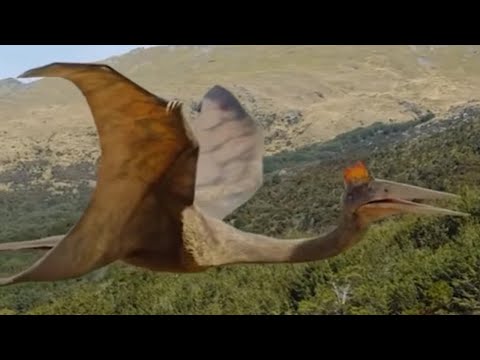 Vídeo: Os pterodáctilos tinham ninhos?