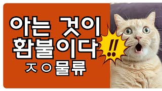 지입사기 아는 것이 환불이다! #지입사기 #지입차#1톤중고차#중고차환불#지입사기환불#택배기사취업사기
