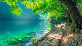 Relaxing music for stress relief - Soothing music for relaxing. Relieve Stress, Anxiety, Depression