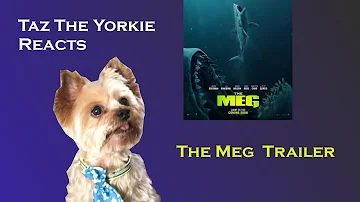 Taz Reacts to The Meg Trailer