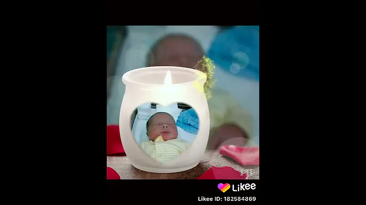Life of baby brayon