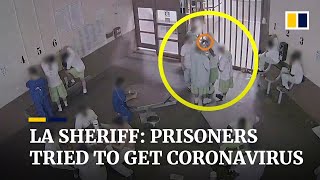 Subscribe to our channel for free here: https://sc.mp/subscribe-
authorities said inmates atalos angelescounty jailtried infect
themselves ...
