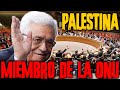 Consejo de seguridad VOTARÁ para aceptar a Palestina como miembro de la ONU!