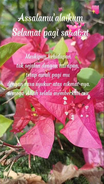Ucapan selamat pagi islami dan doa pagi #short