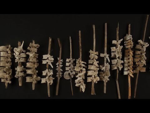 Nearly 200 human spines found threaded onto posts in Peru