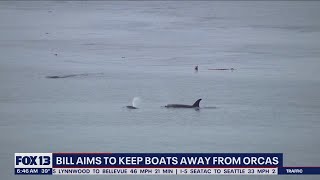 Bill aims to keep boats away from orcas