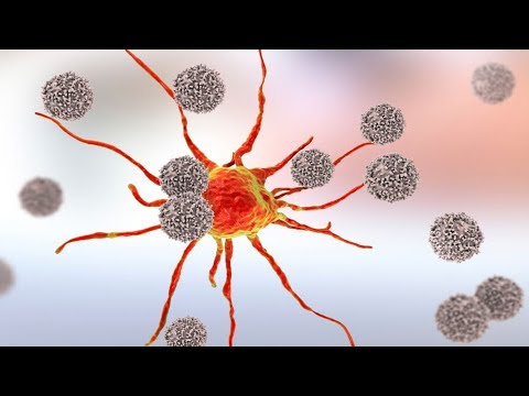 Vídeo: Isolamento Do Receptor De Células T Especificamente Reativo Com Células Tumorais Autólogas A Partir De Linfócitos Infiltrantes De Tumores E Construção De Células T Modificadas Pelo