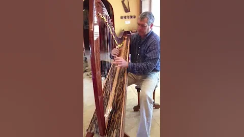 Harpist Dickie Fleisher