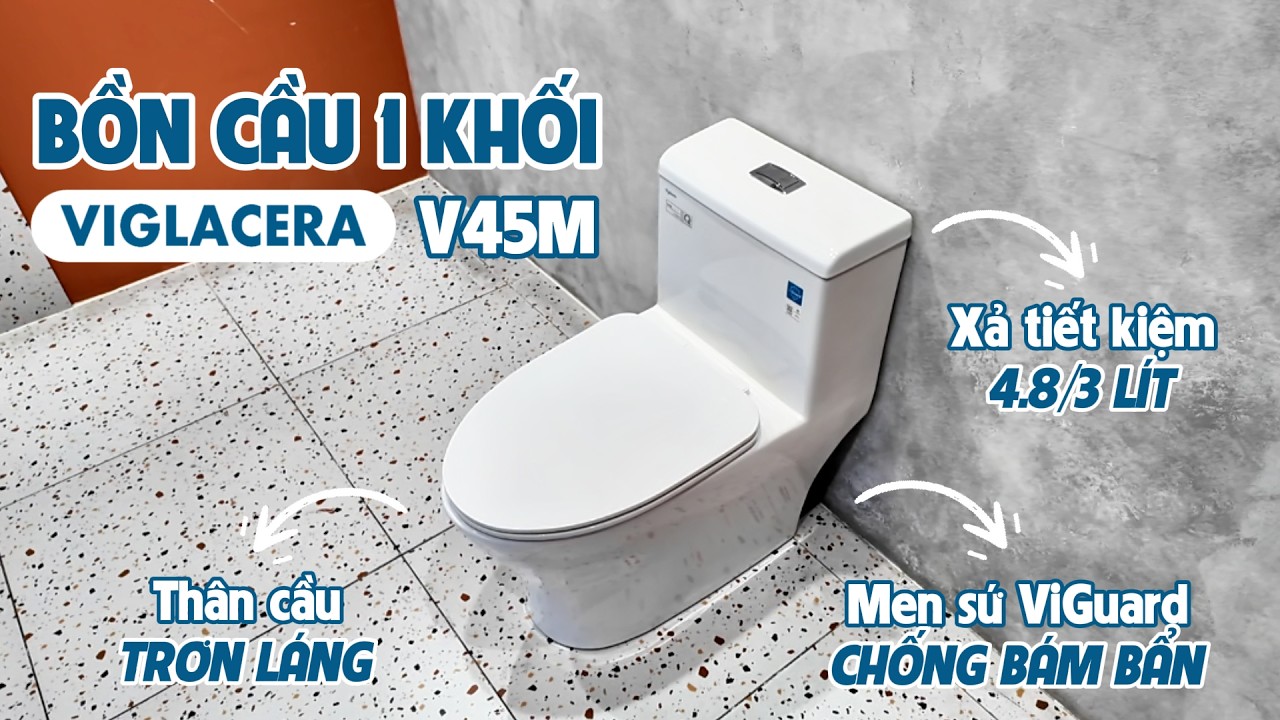 Bồn cầu 1 khối Viglacera V45M nắp êm xả xoáy (+ vòi xịt VG826 & van VG853)
