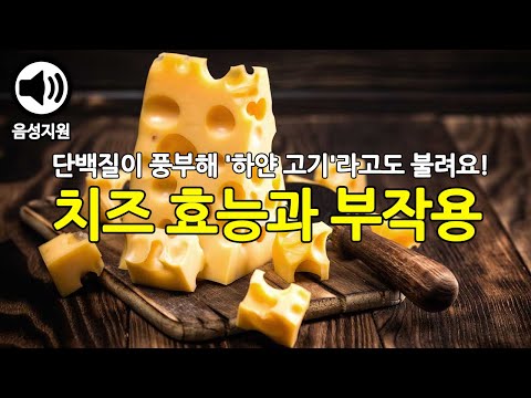 칼슘과 단백질이 풍부한 치즈의 효능과 부작용