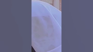 سورة الفاتحة 🌴🍀بصوت الشيخ بدر المشاري 🌴🍀