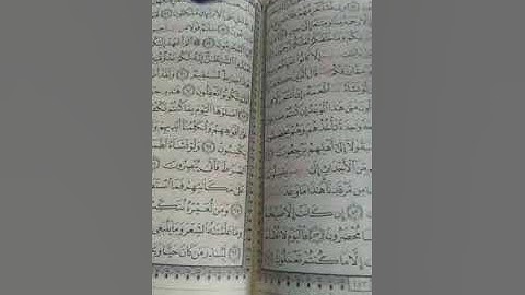 أحكام سورة يس 55.   65
