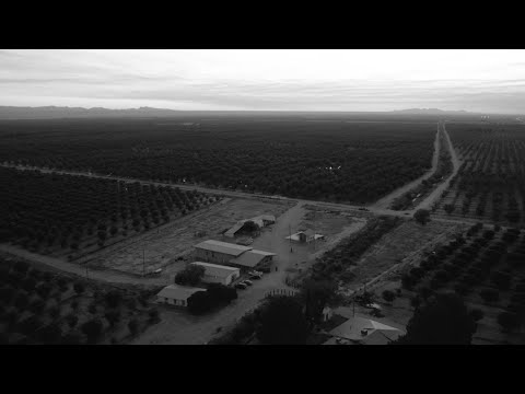 Los Bunkers - Bajo Los Árboles (Video Oficial)