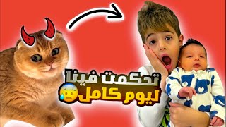 القطة جولدي اتحكمت بخلودة والبيبي ٢٤ ساعة 😱