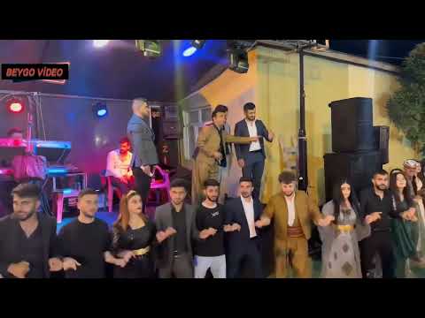 Hakkari düğünleri Hozan Şervan #shortvideo #halay #wedding