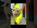 Banana cats having an eating contest?/大食い対決をするバナナ猫たち？#shorts #gmod #bananacat
