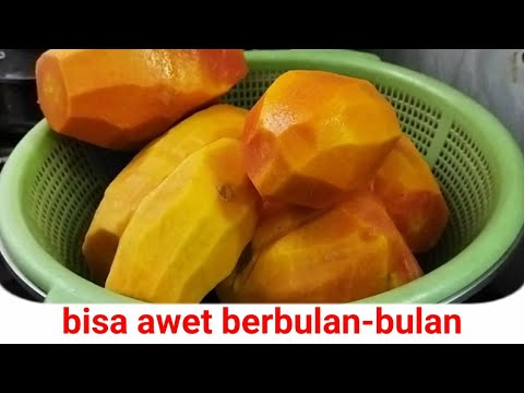 Cara Menyimpan Pepaya Di Kulkas