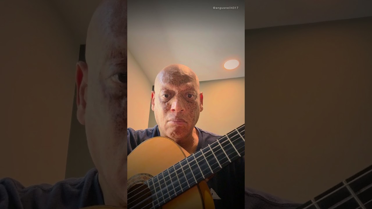 Seguiriyas Falsetas — Angus Neil