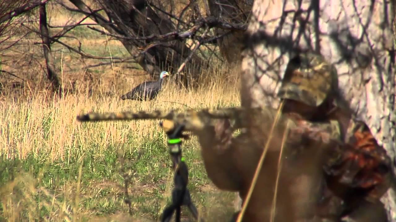 Turkey Hunting - Double Team Tactics