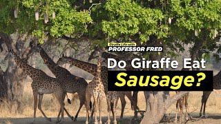 Don’t Mind Me, Just Browsing