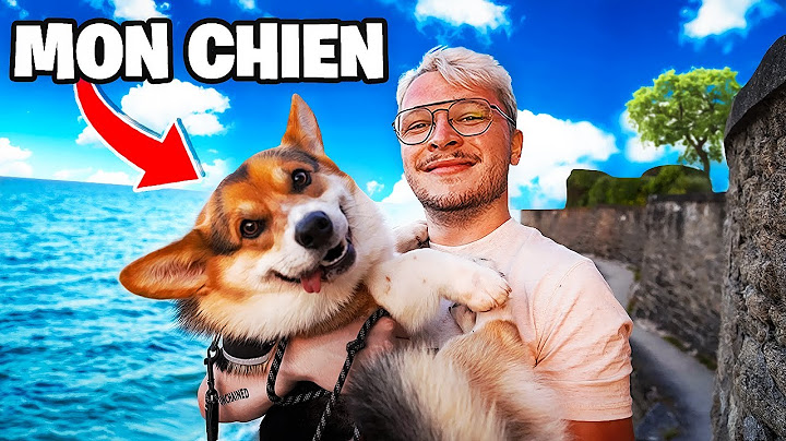 J'AI ADOPTÉ UN CHIEN SAUCISSE ! (il fait 5 mètre (au moins lol))