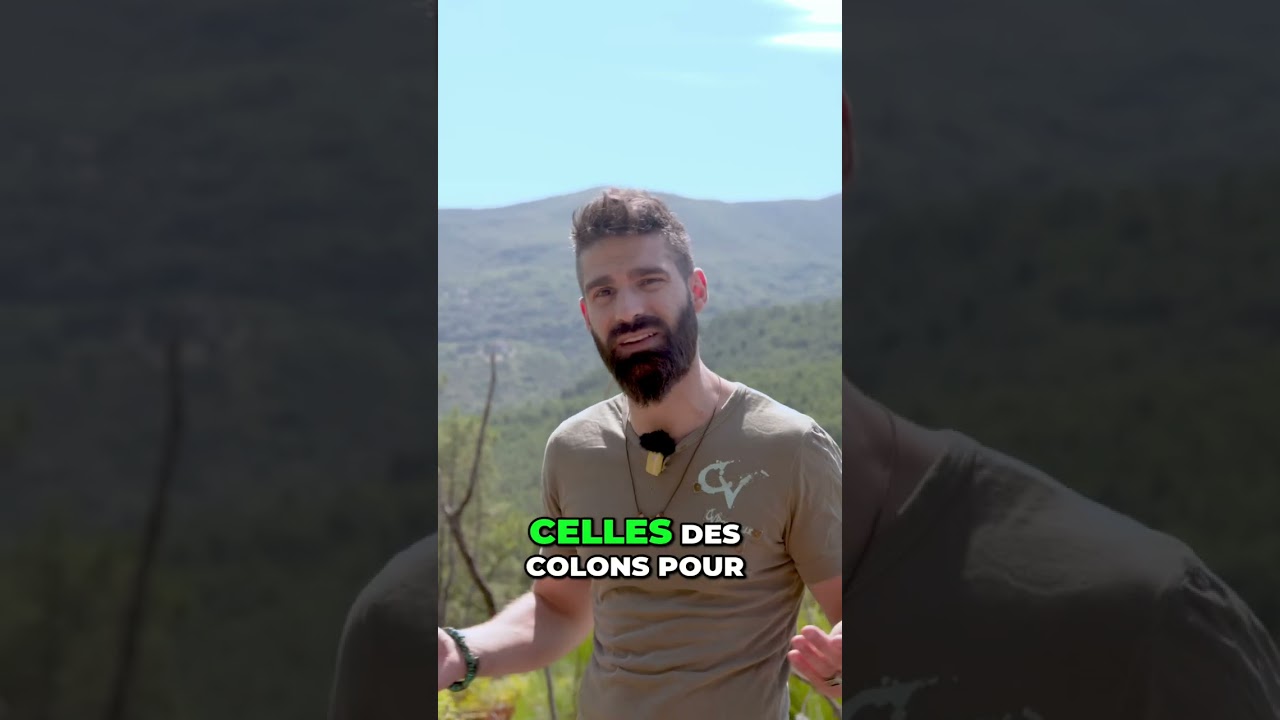 Floride: La Guerre des Séminoles et la Terre Brûlée #shorts