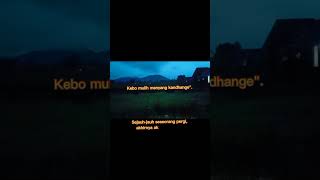 Story Wa 30 Detik Kata Kata Jawa Kata Kata Motivasi Kata Penyemangat shorts shots