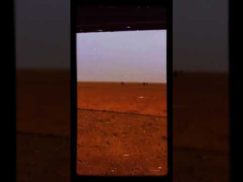 والله ان لك بين حدب الضلوع العوج دار 