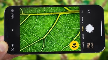 i tried the “new” macro mode on iphone 13 pro