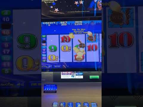 Bonanza ×1000 guru #shortvideo #shorts #bonanza #pragmaticplay #slots #viralvideo