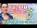 Как легко нарисовать птиц пастелью. Рисуем синичек на вербе сухой пастелью поэтапно.