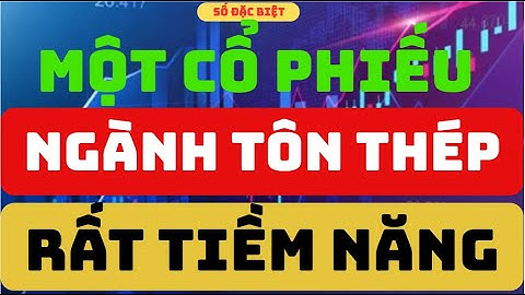 Phân tích cổ phiếu:  Một Cổ Phiếu Ngành Tôn Thép Rất Tiềm Năng I Trương Công Bảo