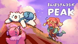 【 PEAK / コラボ 】1人と2匹の協力登山⛰辿り着けるとは言っていない【 まんぼうさん / 羽合アン / 桃野トリ / めまいパレード / VTuber 】