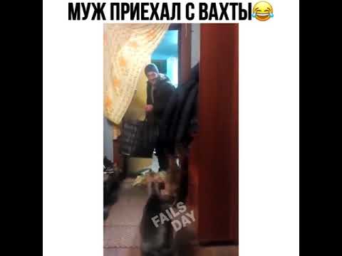 Приколы картинки муж приехал с вахты, единство открытки картинки
