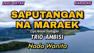 Saputangan na maraek - Trio Ambisi | Karaoke lagu Batak | Nada Wanita