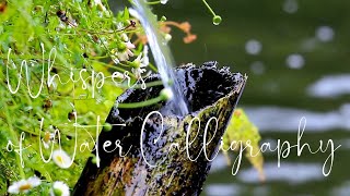 Whispers of Water Calligraphy 🌊 Peaceful Chinese Ambient with Guzheng & Xiao Flute by the Riverside screenshot 5