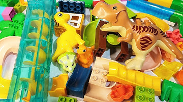Satisfying Building Block coaster Marble Run ASMR ☆ Stairs, Elevator and Funny Dinosaurs course
