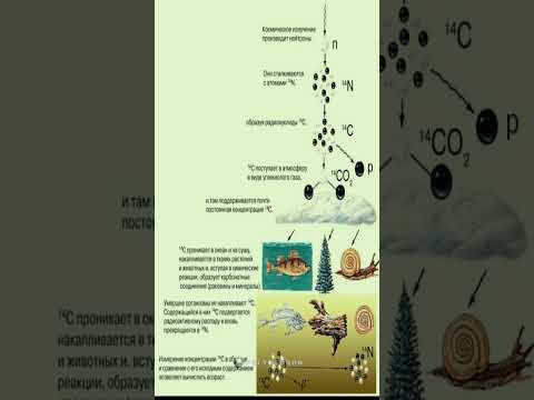 Радиоуглеродный анализ. ​ Радиоизотопное датирование.​ ​ Метод . Интересные факты.​ Наука