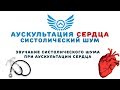 Аускультация сердца: систолический шум