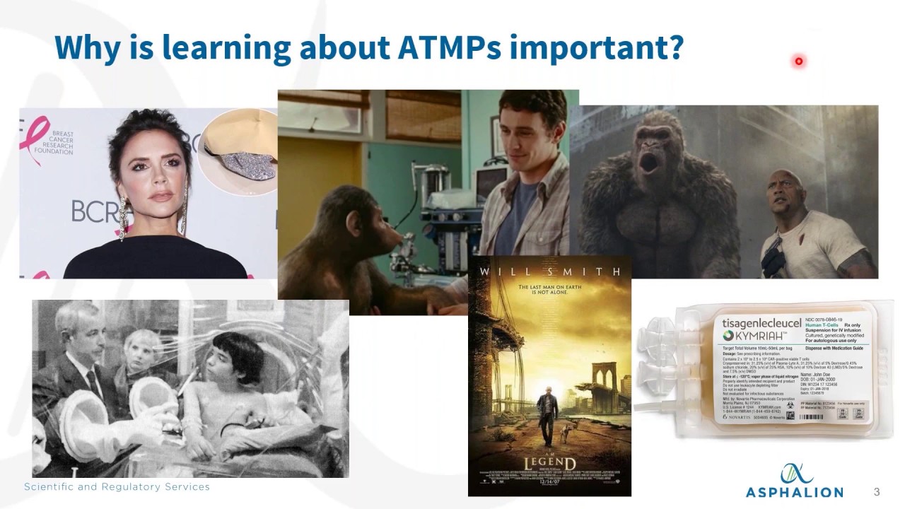 Atmp Elearning Module Introduction to ATMPs: scientific basics and regulatory definitions for ...