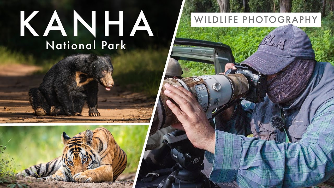 Wildlife Photography in Kanha National Park TIGER COUNTRY Ep. 2 The