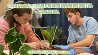 Пересадка растений у друга || Поход в Оби, распаковка, черенкуем и формируем растения