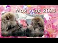 АСМР: Уходовая косметика весна 2020 (HD. Russian).