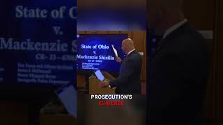 The Truth About Mackenzie Shirilla's Legal Defense #law #shorts