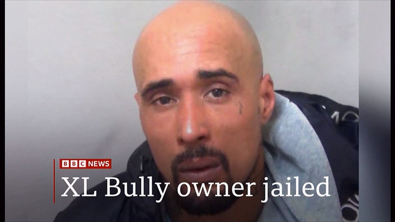 Rapper jailed after XL bully kills mother-in-law (first if its kind/sentence) (UK) 31/Mar/2026
