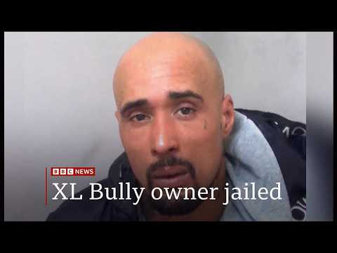 Rapper jailed after XL bully kills mother-in-law (first if its kind/sentence) (UK) 31/Mar/2026