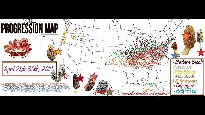 Video Morel Report April 21st 2019 by Chris Matherly